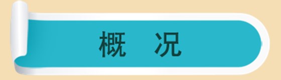 概况