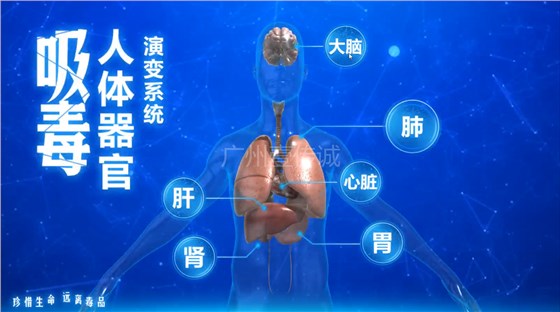 壹传诚&mdash;&mdash;吸毒器官演变